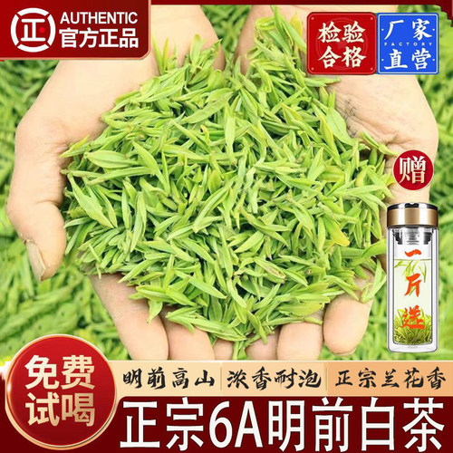 明前嫩芽正宗高山白茶