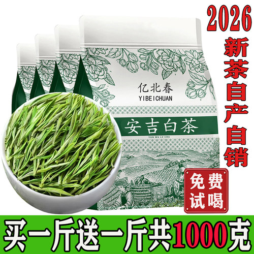 2026嫩芽白茶买一斤送一斤