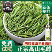 正宗明前高山白茶2026新茶毛尖绿茶500g浓香 一芽一叶嫩芽