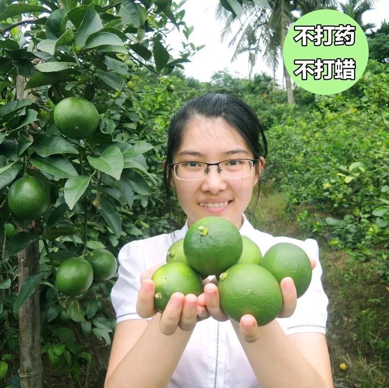 海南青柠檬新鲜包邮当季一级水果奶茶店专用香水小黄柠檬整箱10斤