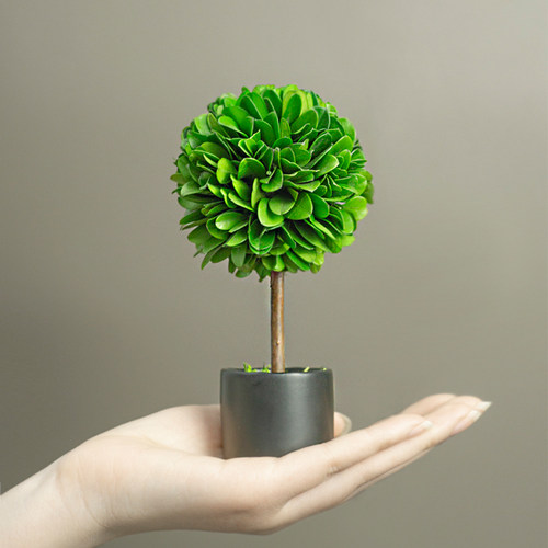 馨颜植办公室装饰摆件高级感小众