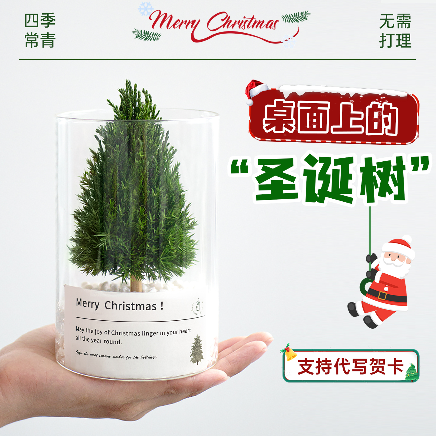 圣诞节礼物推荐桌面永生圣诞树