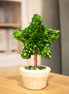 客厅创意永生干花绿植花卉植物办公室内小盆栽桌面摆件情人节礼物