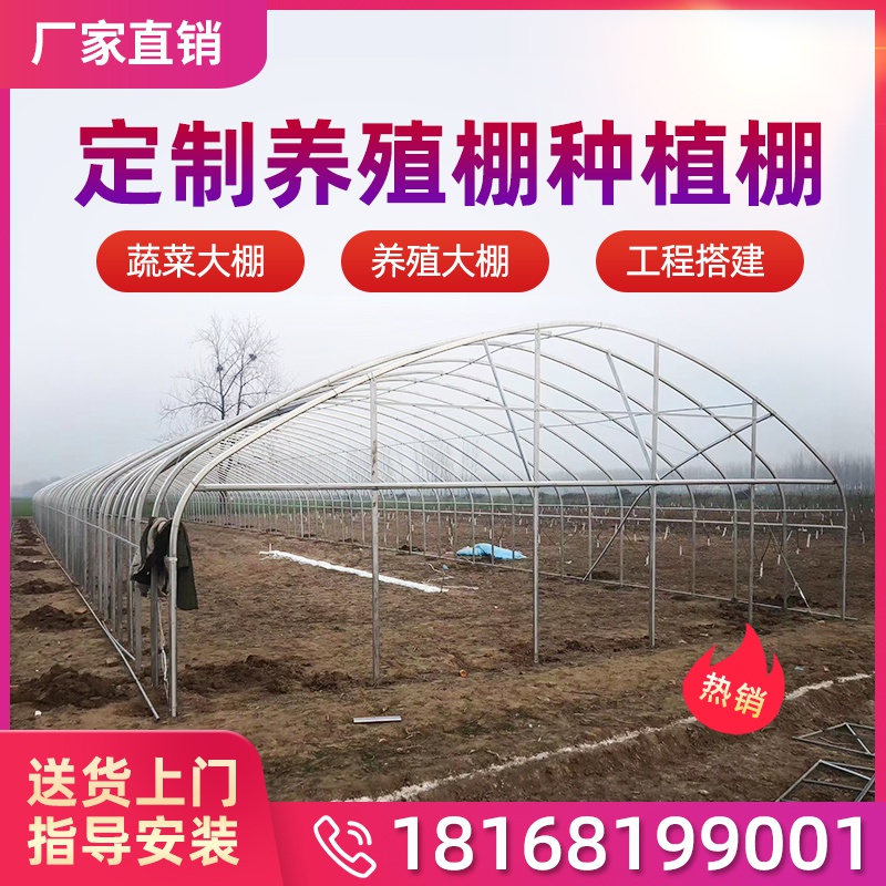 羊u圈养殖牛棚骨架钢大猪舍棚户棚蔬菜全套外大架棚养鸡场钢管保