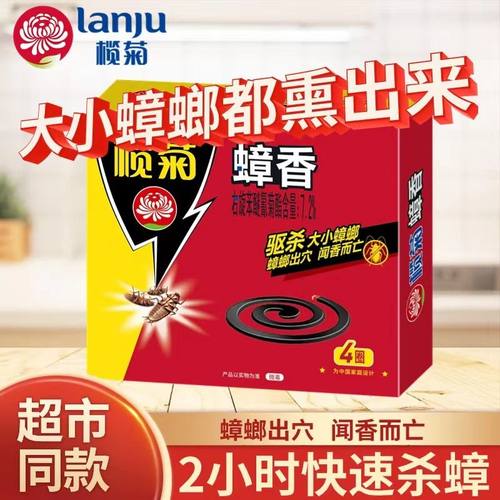 榄菊蟑螂固体盘香烟熏驱赶