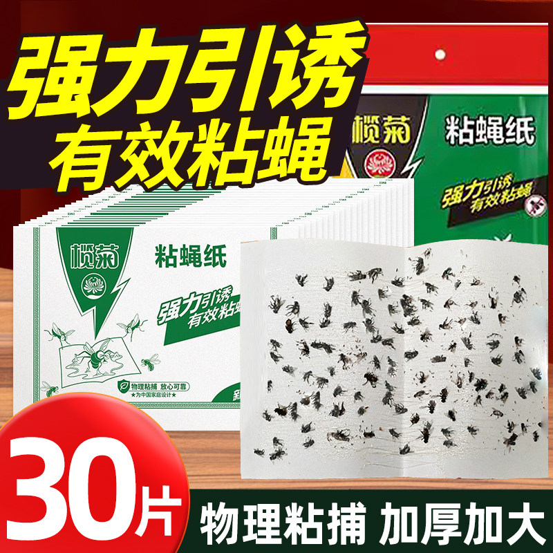 榄菊苍蝇贴强力粘蝇纸自带诱饵灭蝇纸特效诱捕苍蝇贴板果蝇不含药