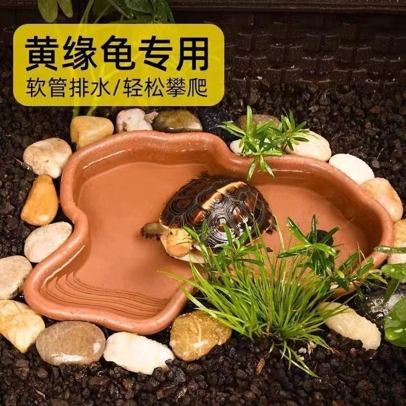 乌龟泡澡盆爬宠陆龟黄缘半水龟洗澡盆喂水喂食盘饲养箱造景用品