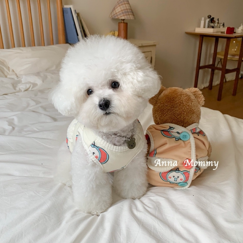 狗狗猫咪衣服秋冬小象卡通背心保暖泰迪比熊博美约克夏小型犬宠物