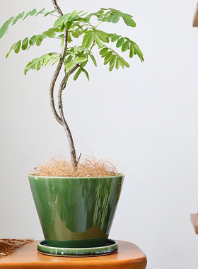 北欧釉面陶瓷花盆日式创意个性绿色盆栽陶盆套盆大号带托盘