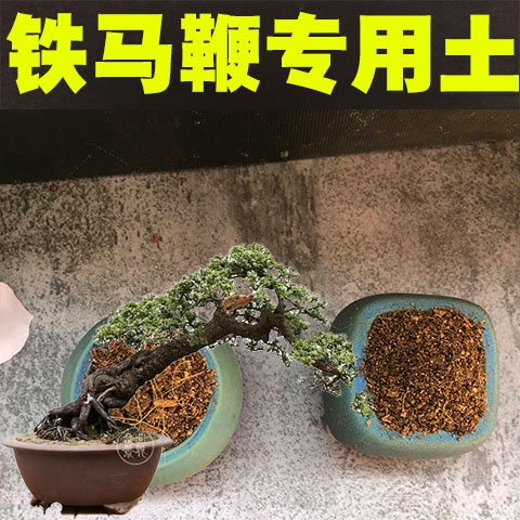 铁马鞭专用土铁马鞭土盆栽盆景营养土酸性沙质泥炭土