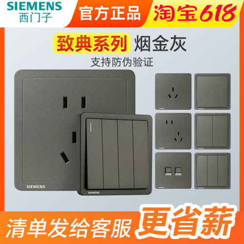 五孔SIEMENS/西门子烟金灰二三插