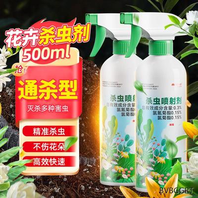 长寿花盆里有小虫玫瑰花