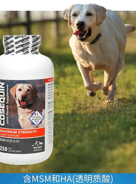 美国Cosequin DS MSM&HA透明质酸 康仕健狗狗关节宝修复软骨素髋