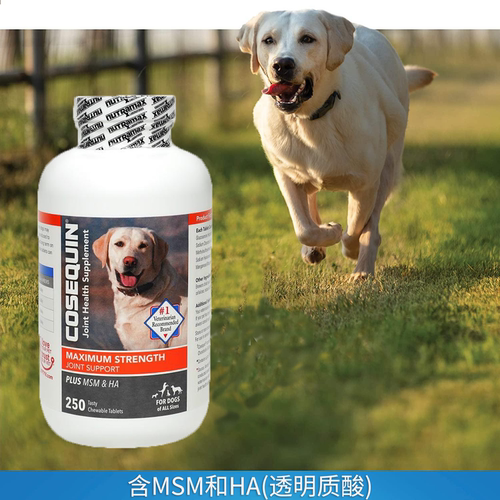 美国Cosequin DS MSM&HA透明质酸 康仕健狗狗关节宝修复软骨素髋