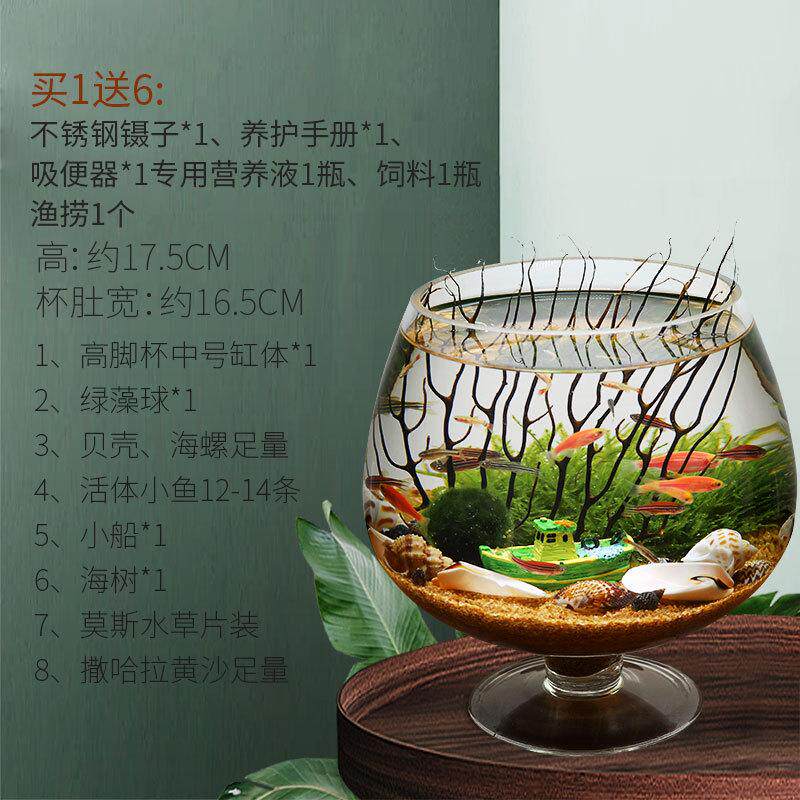 观赏生态瓶鱼微景观免换水免打理diy水族办公桌面创意造景鱼缸