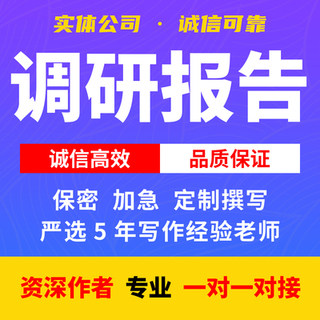 代写调查调研报告市场数据问卷分析撰写工作总结汇报考察材料方案