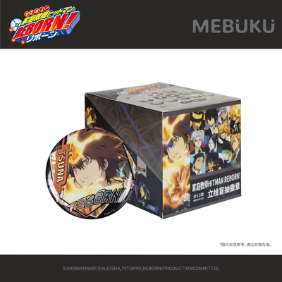 MEBUKU 家庭教师HITMAN REBORN!立绘盲抽徽章徽章