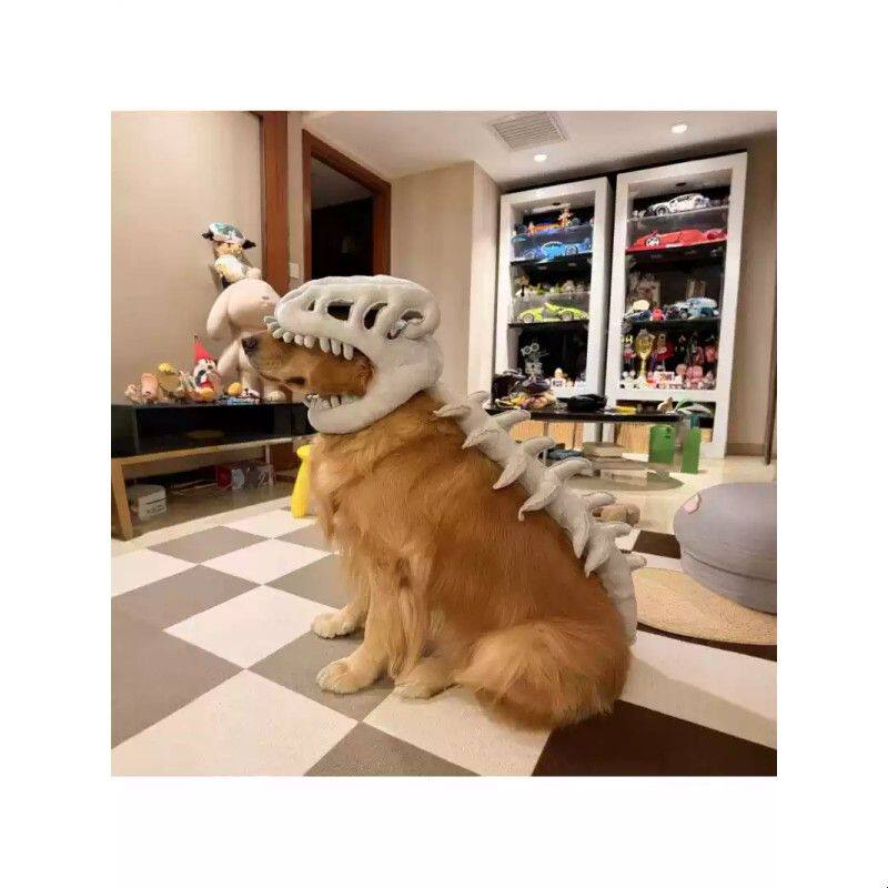 恐龙骨架头套!狗狗衣服毛绒玩具外骨骼玩偶装扮搞怪帽子拍照道具