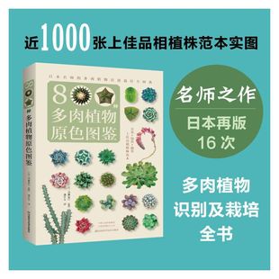 换盆移植叶插法枝插法实生繁殖杂交培育播种方法技巧夏型冬型春秋型栽培 800种多肉植物原色图鉴 多肉书籍植物多肉养殖书羽兼直行