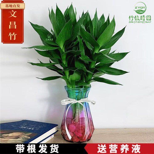 文昌竹桌子净化空调甲醛