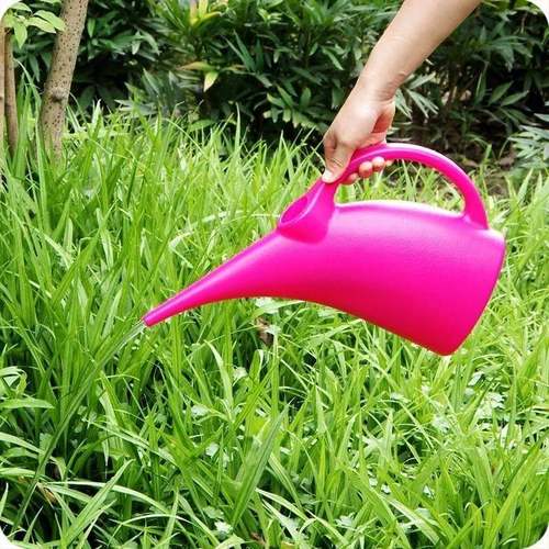 plant watering can small sprayer lovely family creative