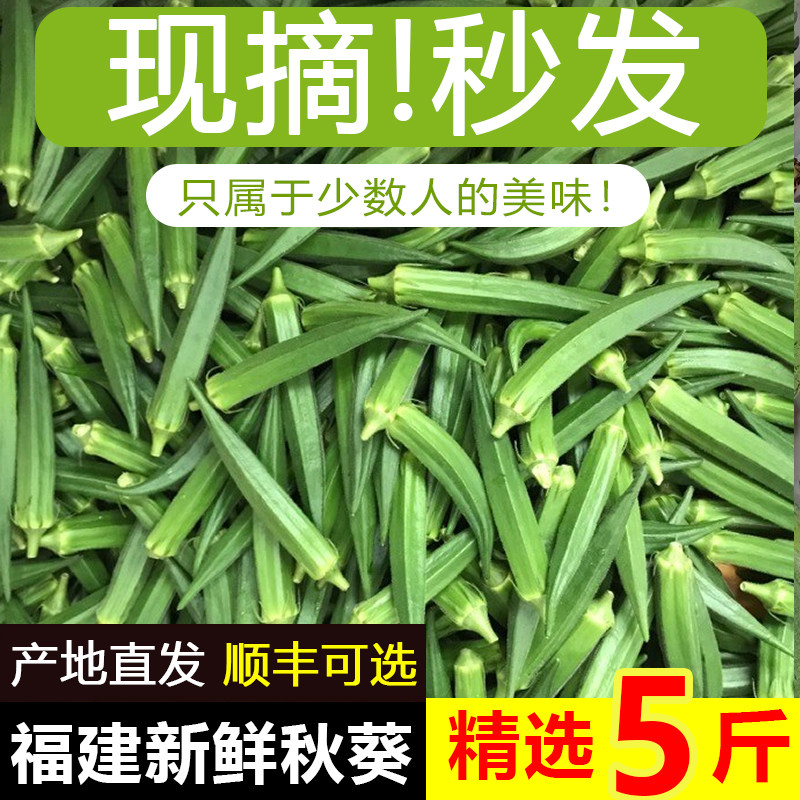 速运新鲜水果秋葵5斤当季现摘羊豆角鲜嫩黄秋葵农家自种蔬菜