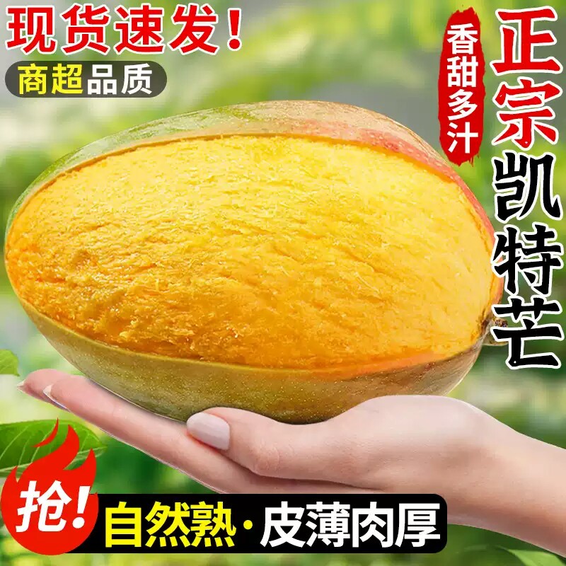 四川攀枝花凯特芒果新鲜水果5斤当季整箱包邮特大10青忙时令芒果