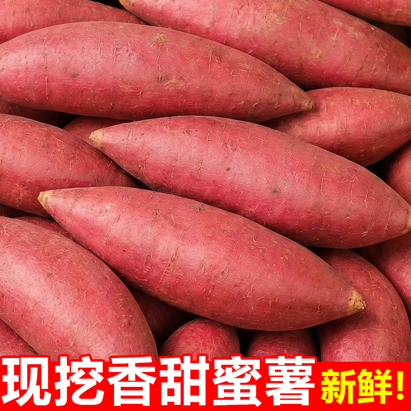 现货红薯新鲜现挖农家地瓜沙地小山芋包邮5自种番薯板栗红薯蜜薯