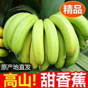 [放软吃]广西高山甜香蕉绿皮香蕉精选单根自然熟软糯香甜新鲜水果