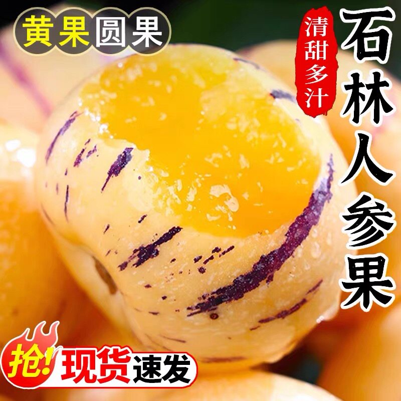 云南石林人参果新鲜水果当季整箱树上熟黄果圆果正品人生果娃娃