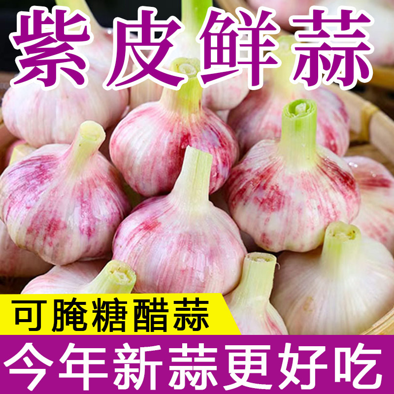 2026年鲜蒜头新鲜大蒜头湿蒜现挖新蒜头多瓣蒜腌制糖醋蒜嫩蒜头