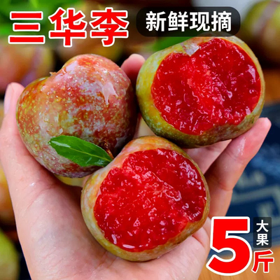 精品大果 5斤正宗钱排三华李李子新鲜水果红心当季孕妇整箱包邮