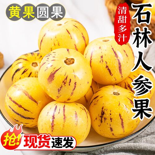 云南石林人参果现摘大果新鲜人叁果水果七彩黄肉圆果人生果包邮5