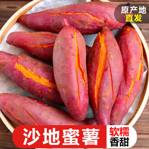 沙地蜜薯红薯10斤糖心红薯红薯新鲜种植烤地瓜农家板栗番薯山芋