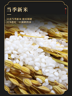 东北米盘锦蟹田米10斤2023年新米5kg五常稻香米真空圆粒珍珠大米y