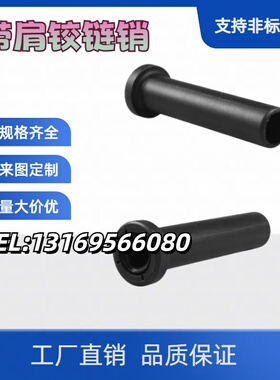MIP01/02-D6 8 10 12 13 14 15 16 17 18 20 22 25 非标铰链销