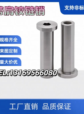 MIP03/04-D6 8 10 12 13 14 15 16 17 18 20 22 25 非标铰链销