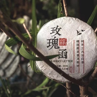 25秋现货 易武普洱白茶甜甜白玫瑰清香纯茶 玫瑰函