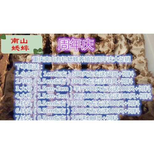 蛐蛐 蟋蟀 活体饲料 养殖场直发现货大中小针头爬虫鸟龟守宫食物