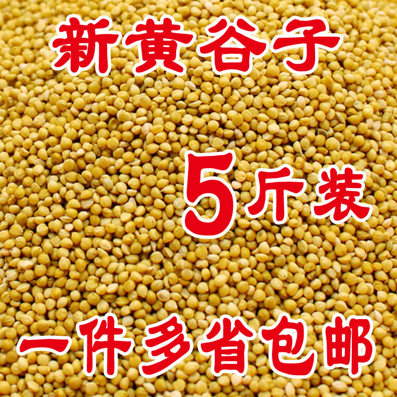 鹦鹉粮/带壳黄谷子/鸟粮鸟食饲料/虎皮牡丹玄风横班有壳谷子小米图片