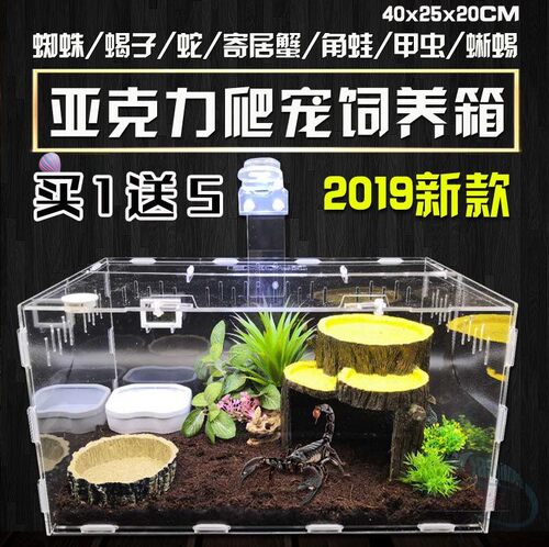 木质加湿器价格 木质加湿器图片 星期三