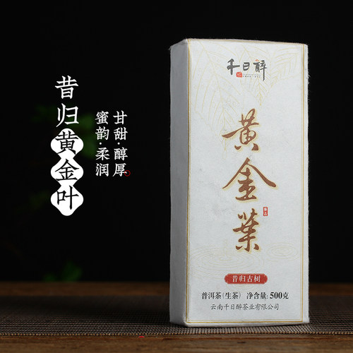 QRZ2018年千日醉 昔归古树黄金叶 普洱茶生茶 砖茶500克