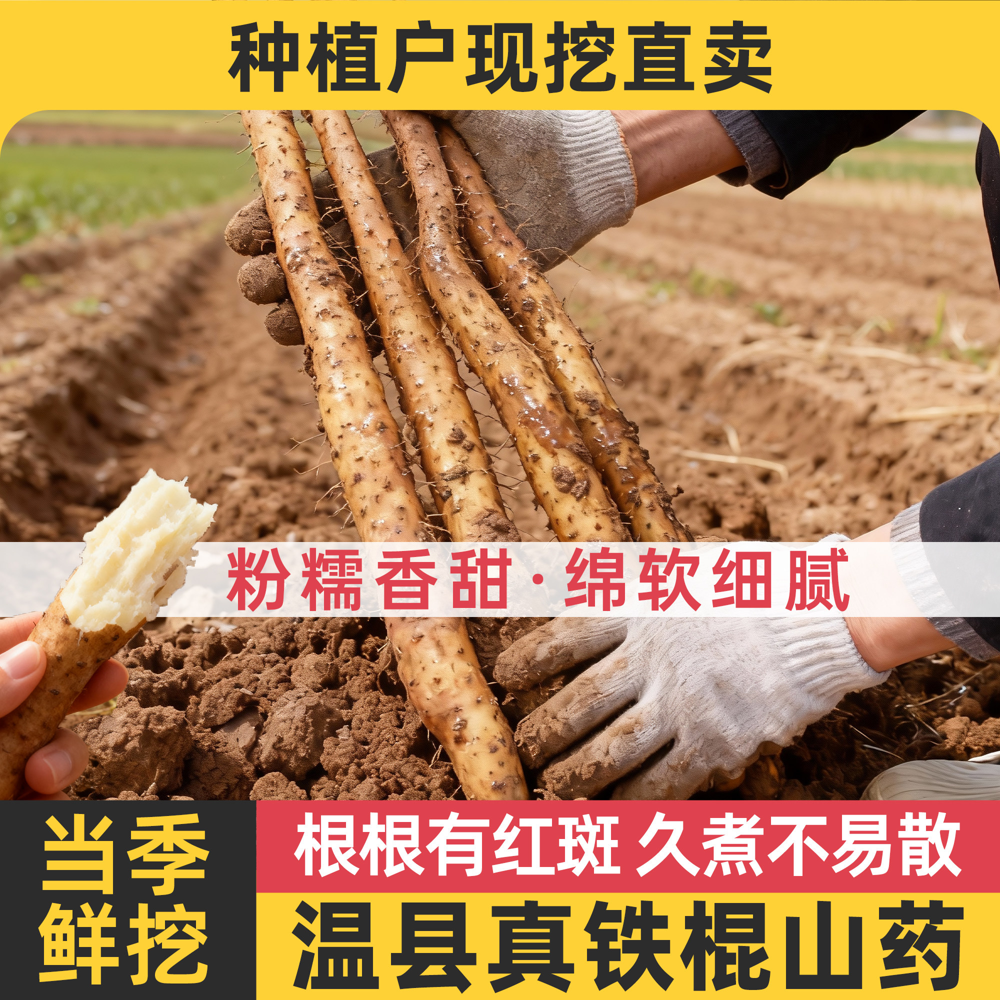 正宗河南焦作温县怀山药新鲜5斤垆土铁棍山药官方旗舰店铁杆淮山