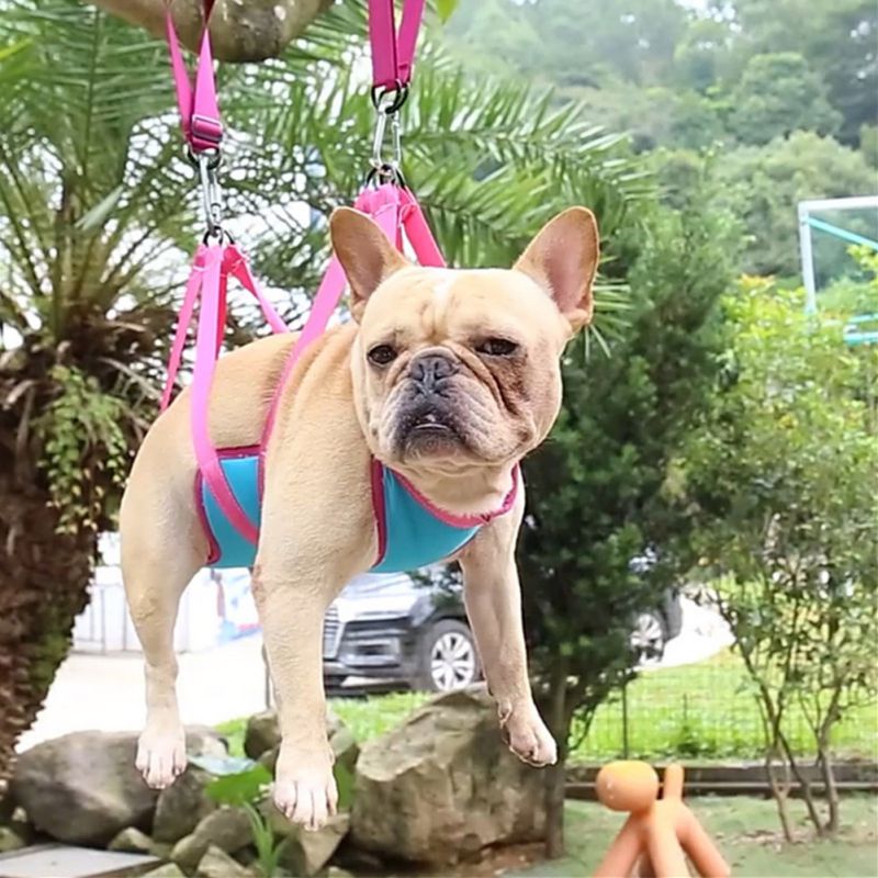 宠物美容吊床猫咪狗狗防挠修剪