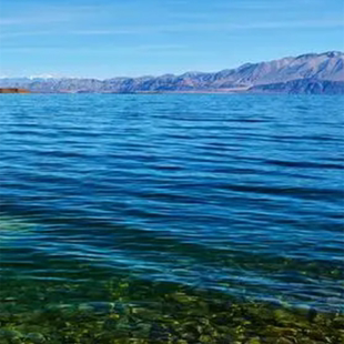 这是一家感情店一分钱素材