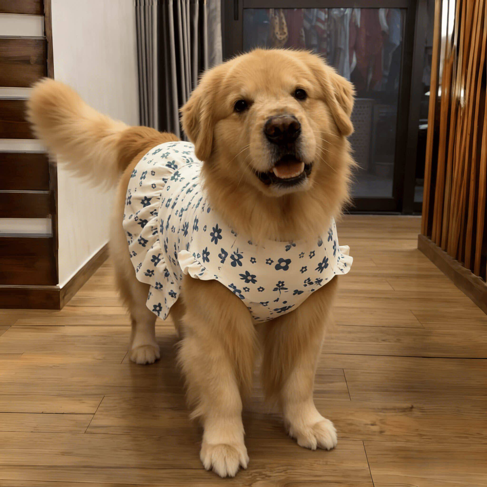 狗狗衣服连衣裙中大型犬金毛萨摩耶防掉毛免着凉空调服家居服睡衣