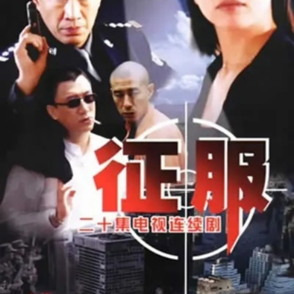 征服 电视剧 20集国语中字 虚拟产品不发快递 发货联系客服