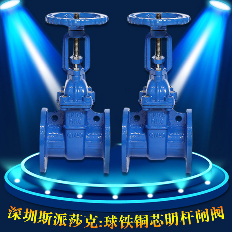 人防用铜芯防护闸阀明杆铜杆铜芯防护闸阀z41t-16qdn100 150200