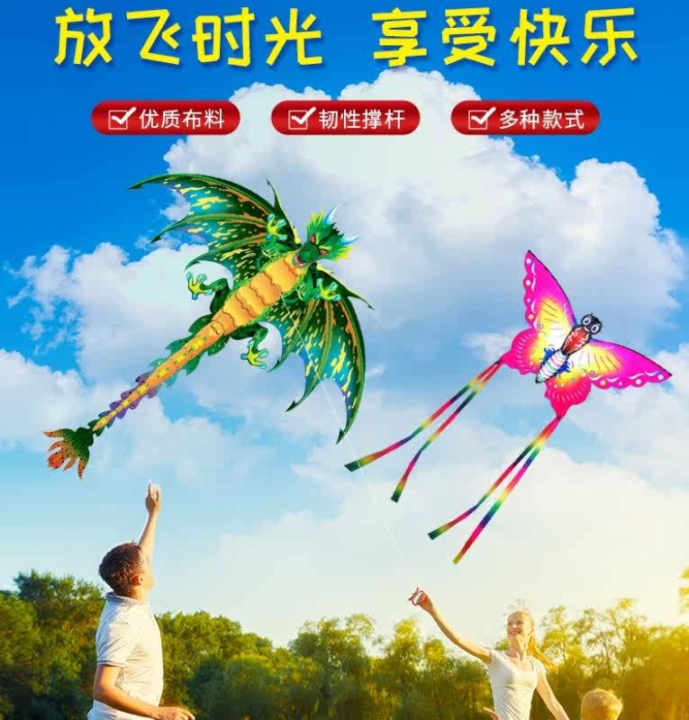 风筝大人专用新手网红老鹰恐龙蝴蝶大型成人卡通动物微风易飞风争