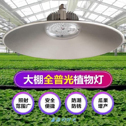 大棚日光灯素材模板 大棚日光灯图片下载 小麦优选